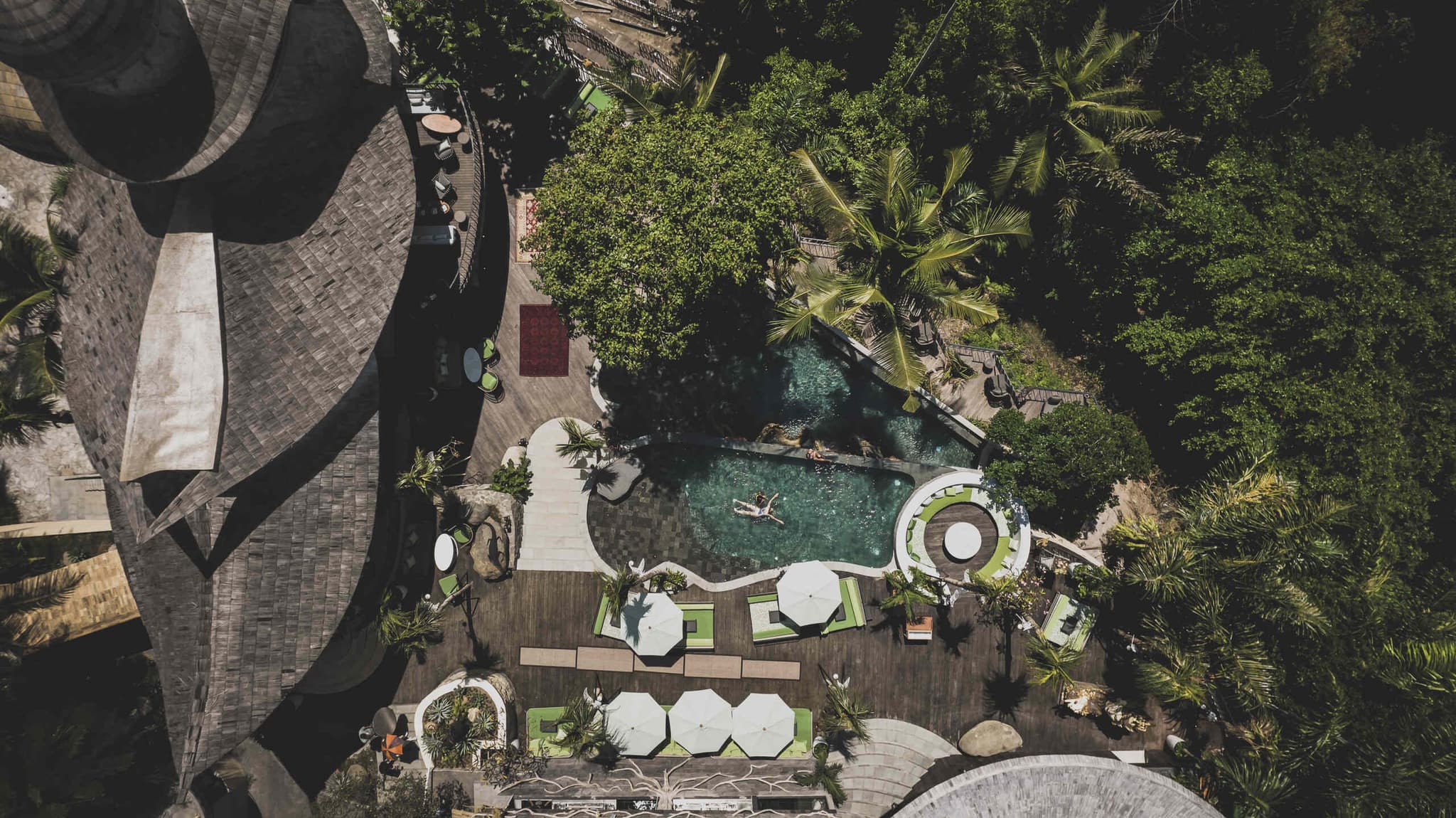 jungle club ubud